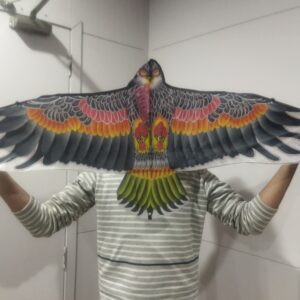 Outdoor Fun Sports 1.6m Eagle Kite With Handle And Line Good Flying